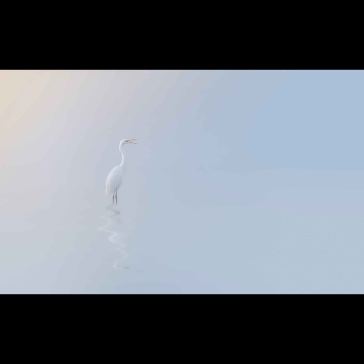 @00MrWilson00