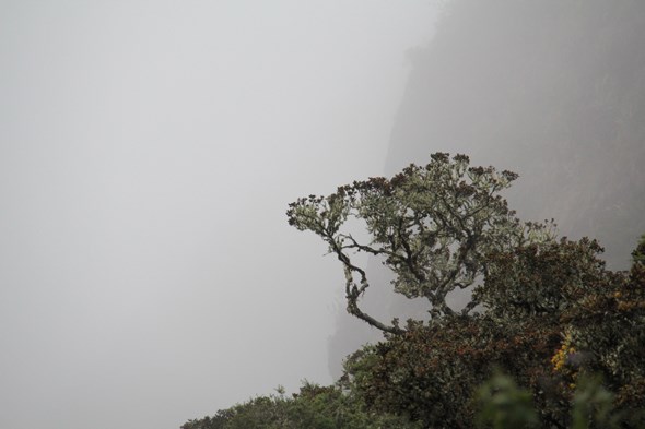 Into the clouds