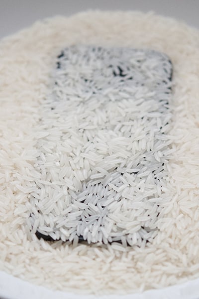 © Wex Photo Video Rice.jpg