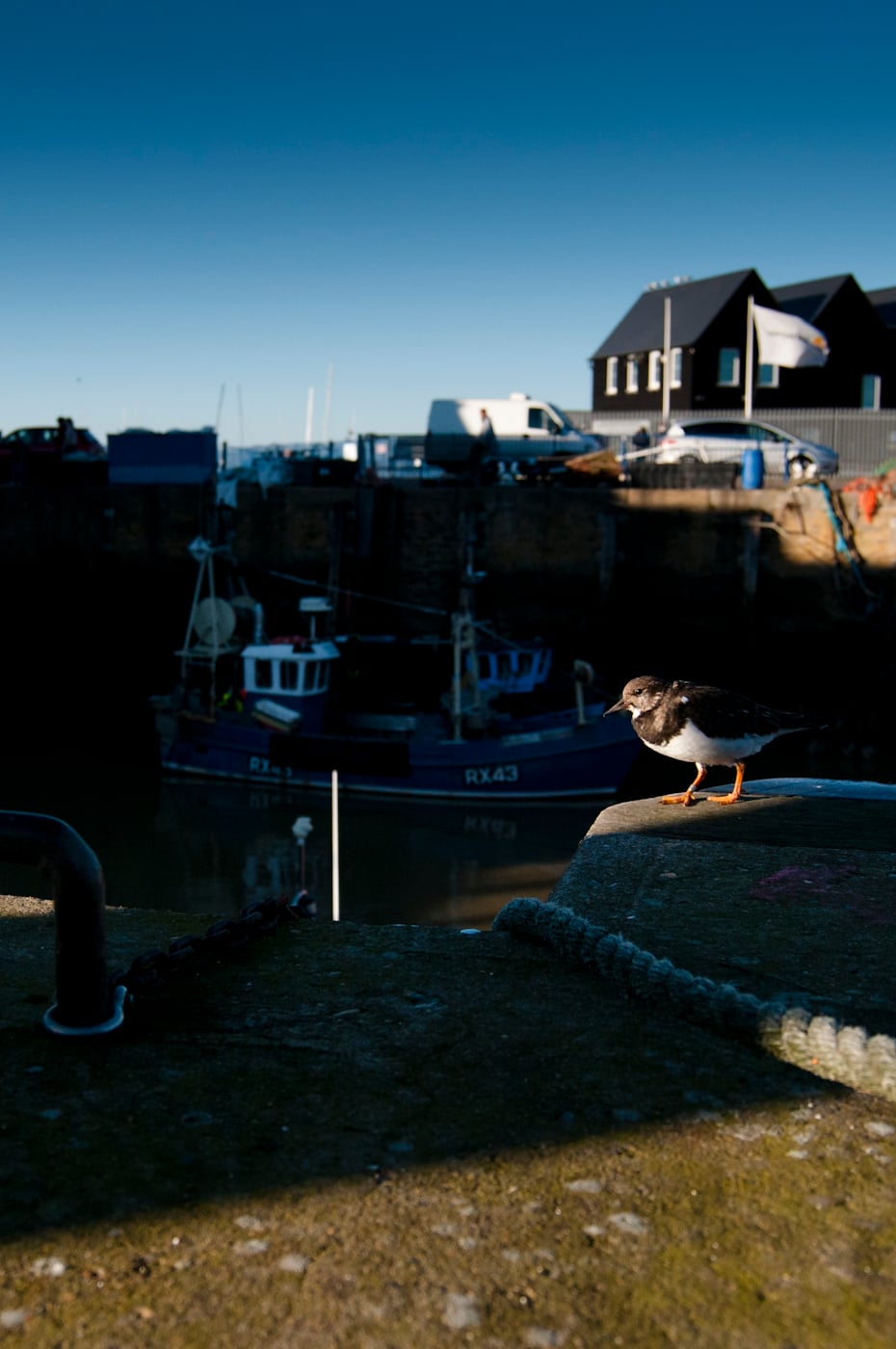 © Wex Photo Video ironments-offer-great-chance-to-get-up-close-with-wildlife-these-Turnstones-were-happy-to-allow-me-very-close-with-a-wide-angle-in-order-to-create-some-images.jpg