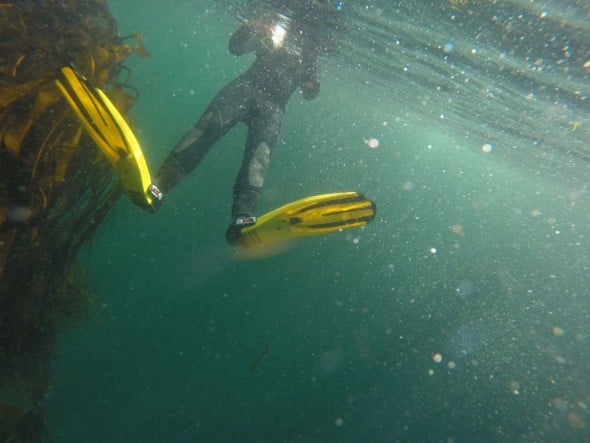 Why Every Camera Bag Needs a GoPro