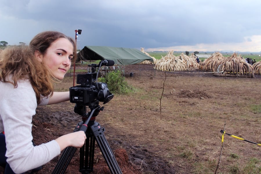 Behind the Shoot: “A Lion’s Tale” – Wildlife Documentary 