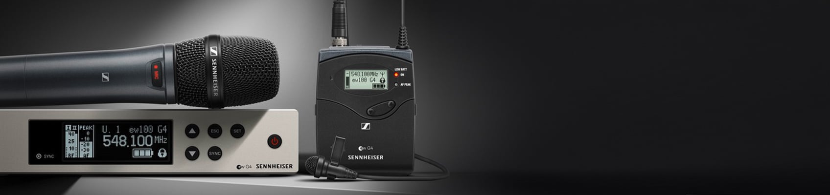© Wex Photo Video mic license top.jpg