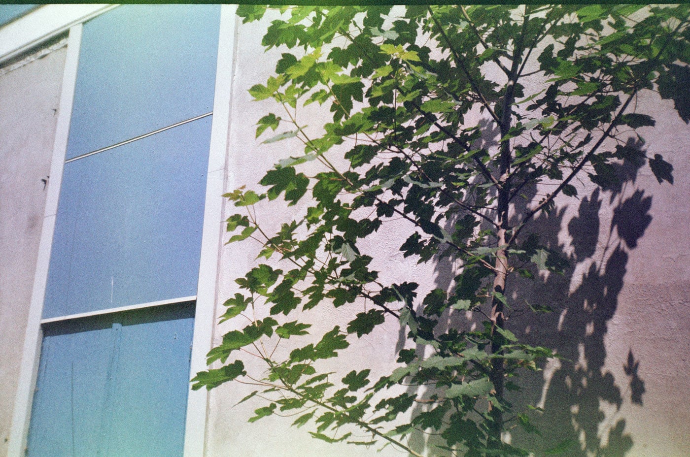 Jon Stapley’s photo taken on an Praktica AF-800D