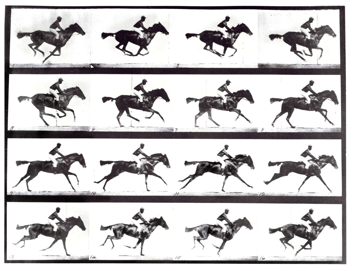 Sports photograph by Eadweard Muybridge