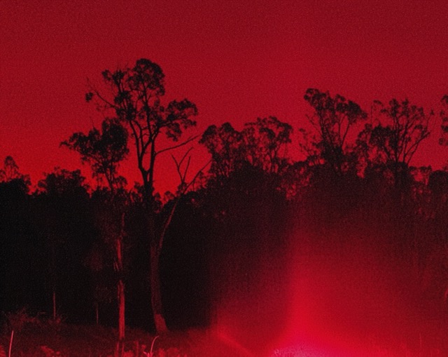 Photograph from Invisible Sun by Amani Willett