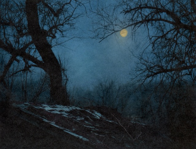 Photograph from Invisible Sun by Amani Willett