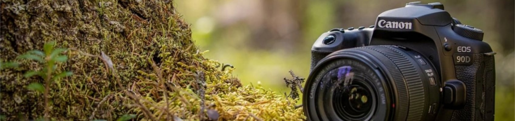 © Wex Photo Video Wex Blog - Top Image eos 90d.jpg