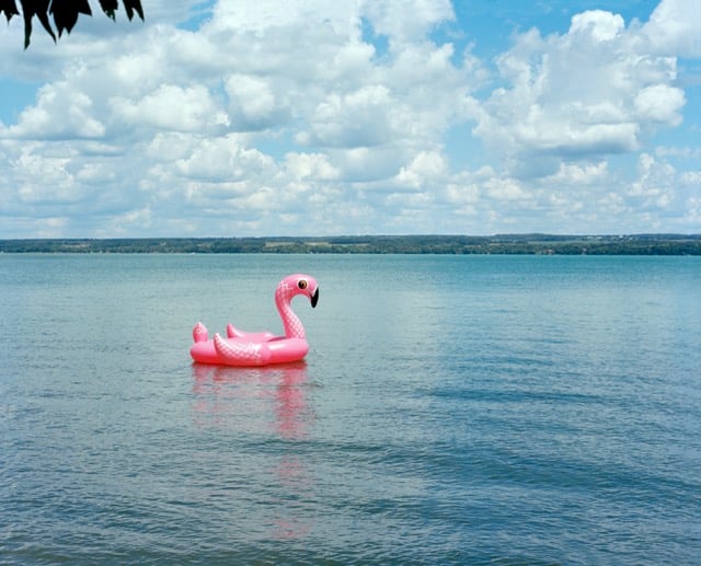 Floating in the River, Romulus, NY, from Why Am I Sad? by Dana Stirling