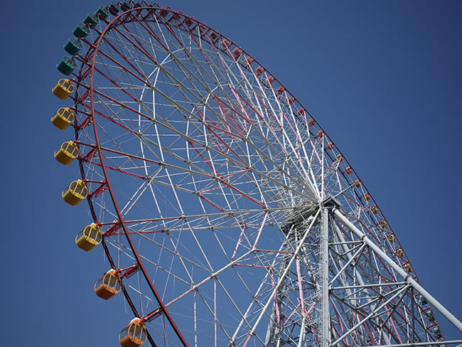 D850 Sample Image
