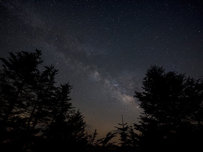 Sigma 14mm f1.8 sample image